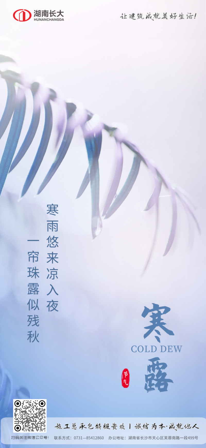 寒露，二十四节气，雾气，露珠