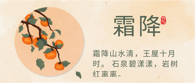 二十四节气霜降黄色手绘插画柿子