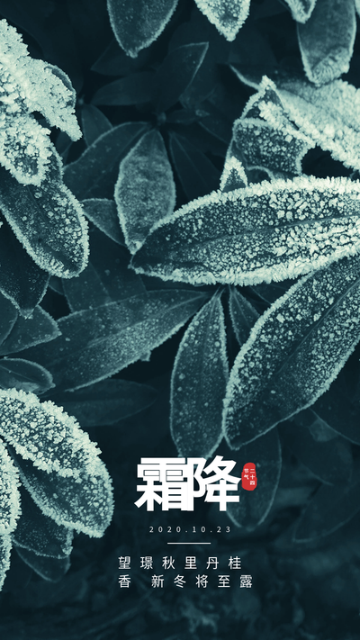 二十四节气霜降树叶海报