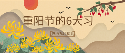 中国传统节日重阳节黄色手绘插画菊花茱萸