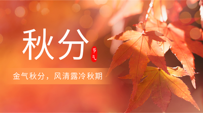二十四节气秋分枫叶实景