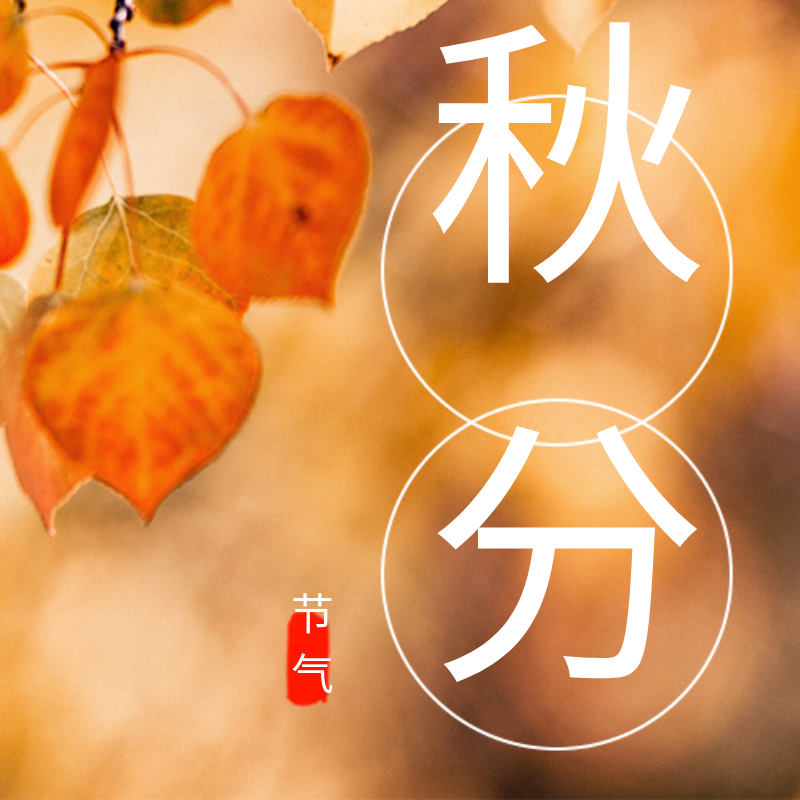 秋分节气，文艺，实景