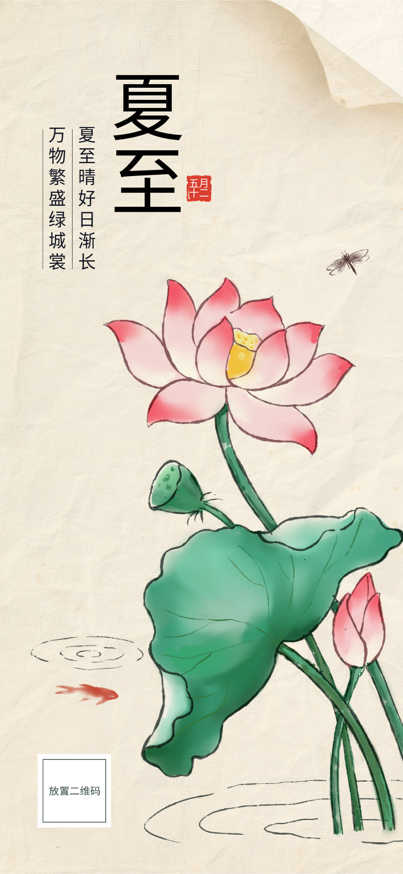 二十四节气， 夏至，荷花，中国风