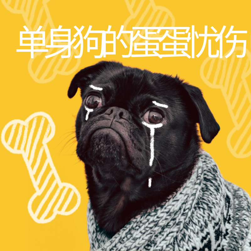 光棍节流泪的狗公众号次图