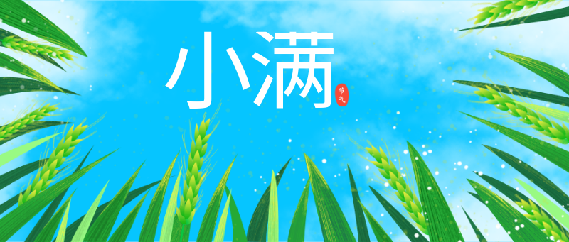 小满节气 公众号首图