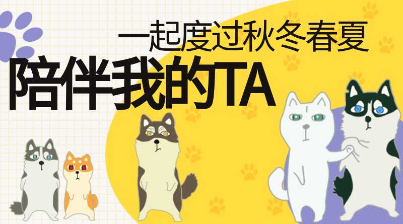 宠物之家， 我的好伙伴