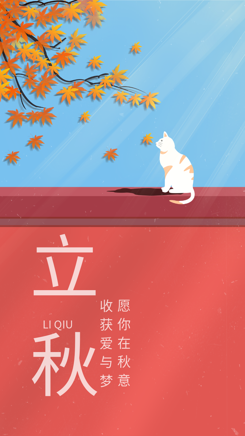 立秋 节气 二十四节气 秋天 猫