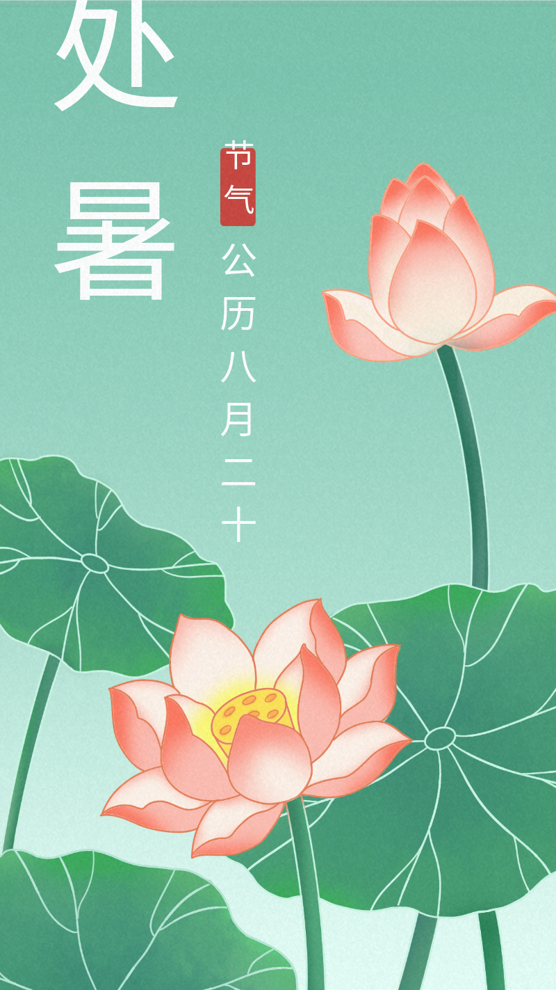 处暑 节气 荷花