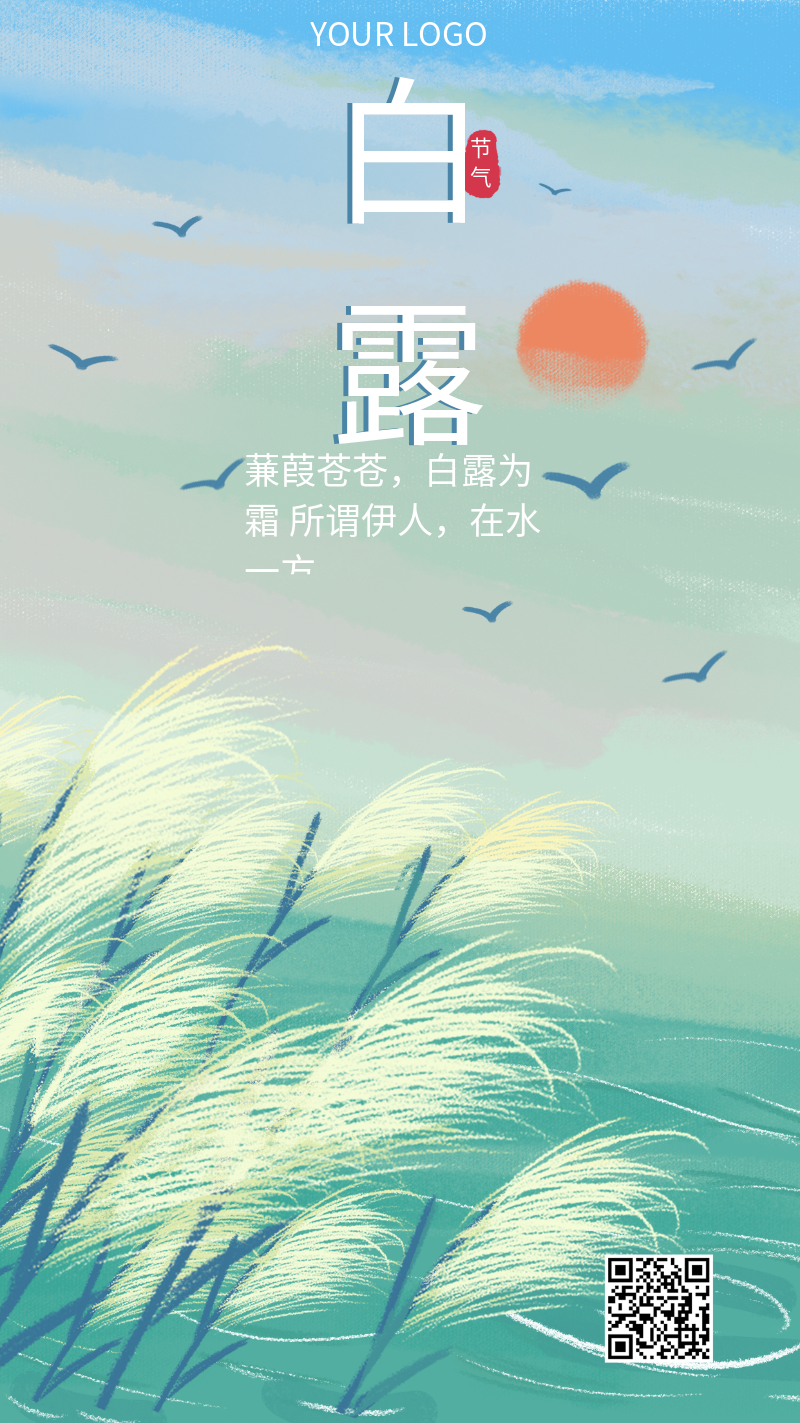 白露节气 海报