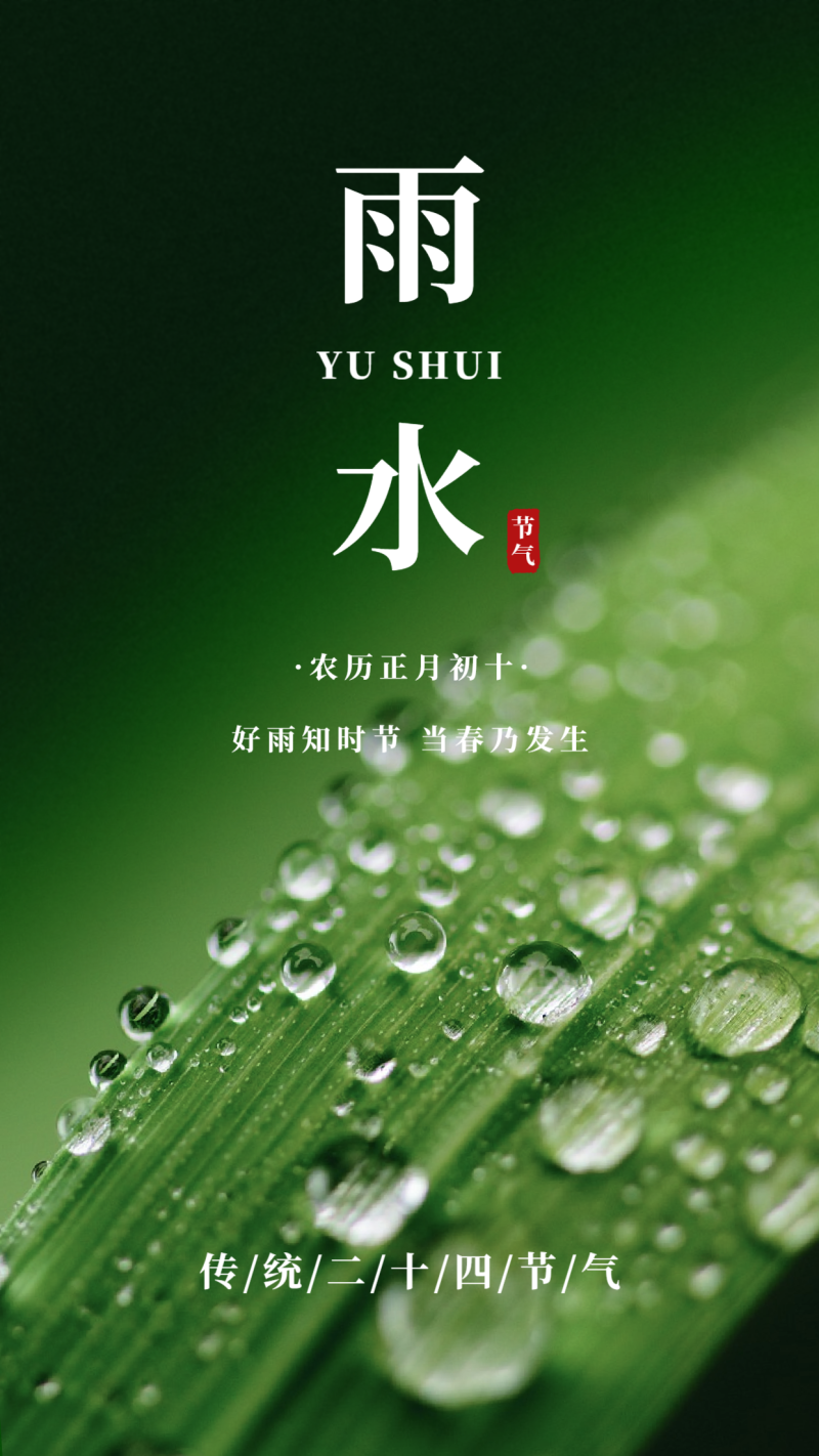 雨水 节气 绿色