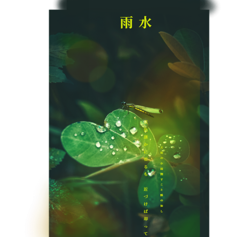 惊蛰，实景，二十四节气，蜻蜓，手机海报