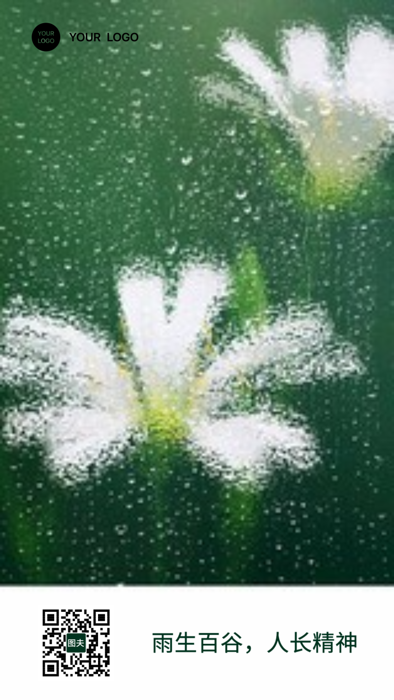 谷雨 雨滴 玻璃