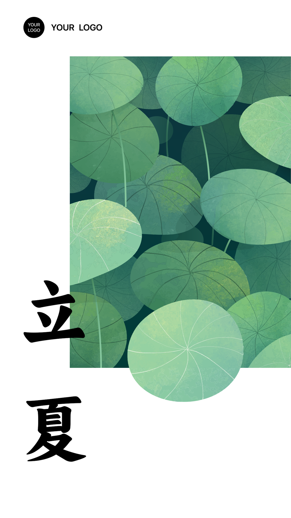 立夏 荷花