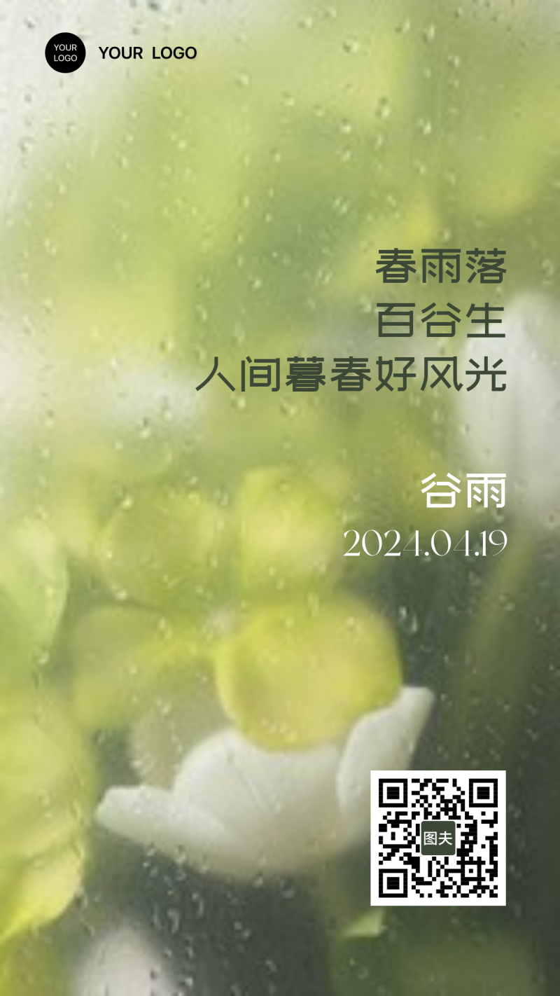 谷雨 雨滴 花卉
