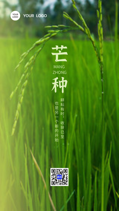 芒种海报 水稻