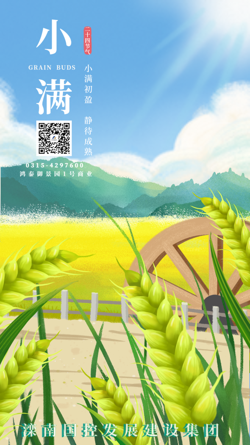 小满，节日，二十四节气，插画，麦子，手机海报