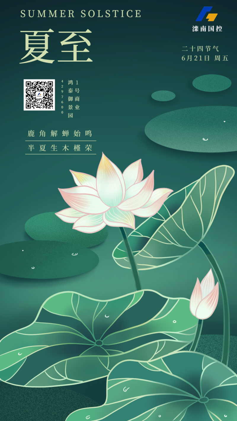 夏至，二十四节气，荷塘，插画，手机海报