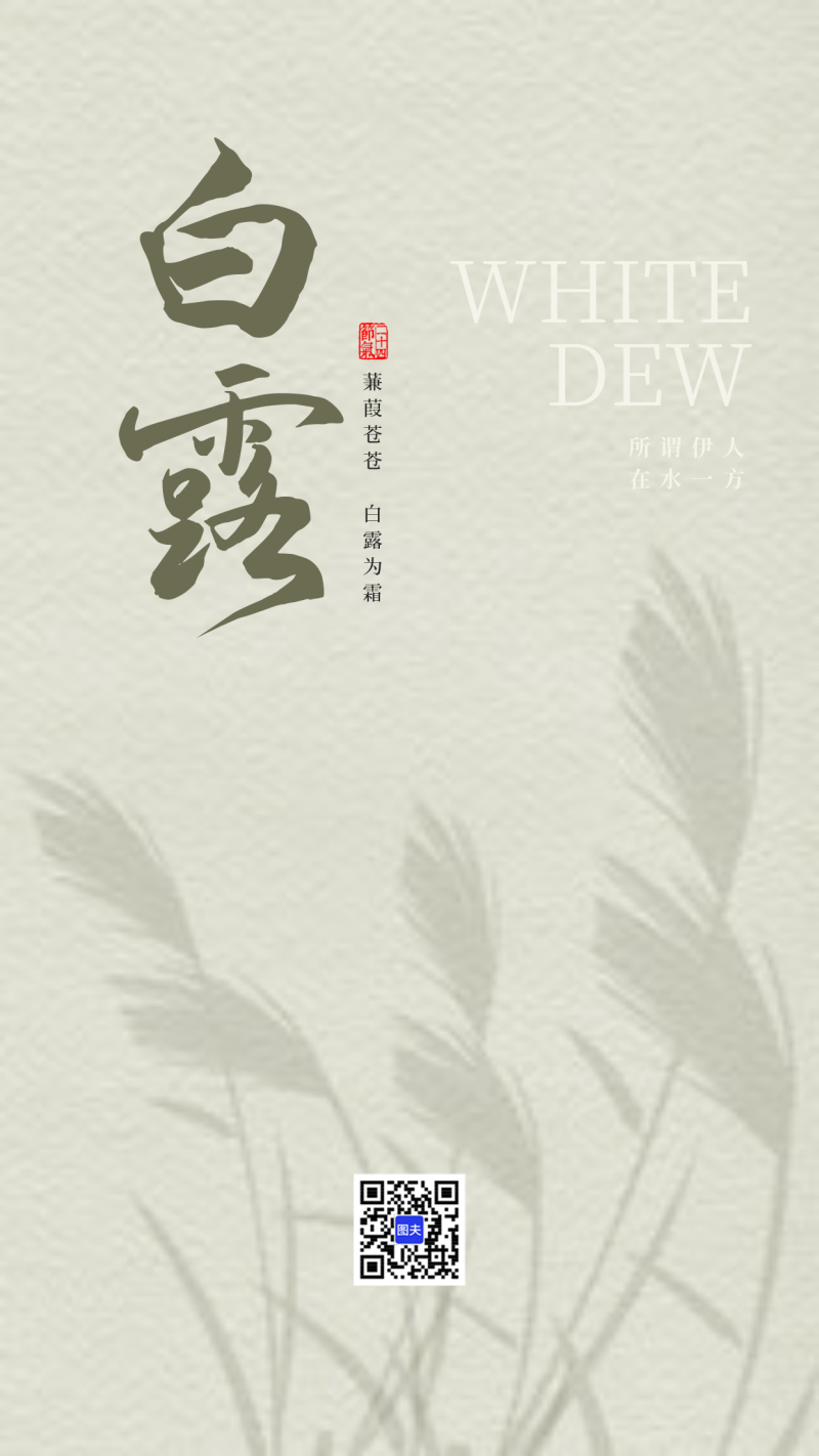 白露海报下载