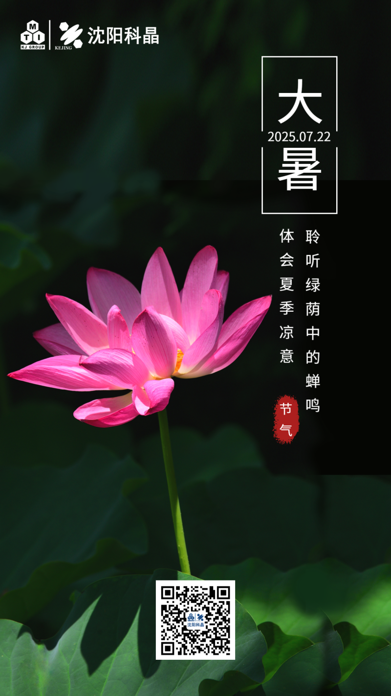 /static/assets/images/default-pic.png 写实 风景 二十四节气 大暑 夏天 荷花